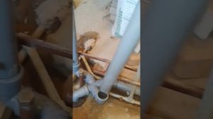 вентиляция стояка канализации