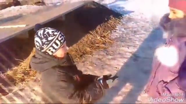 Иван царевич и его верный конь!!! смотреть онлайн