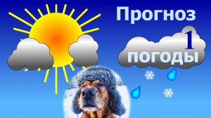 Прогноз погоды (1)