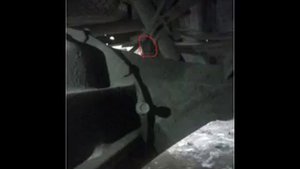 где стоит сапун на мосту и коробке газ 3302