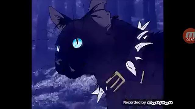 Коты Воители - Смерть Звездоцапа смотреть онлайн