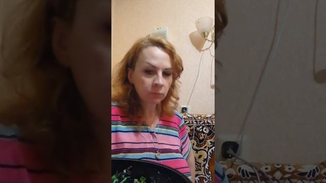 Мукбанг. Смотрю про Еву браун смотреть онлайн