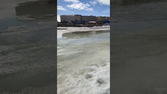 Озеро на льду на реке Казачка. Чайки купаются. Чукотка. Дальний Восток. Арктика