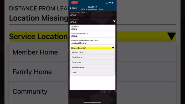 EVV Vesta Mobile Clock In смотреть онлайн