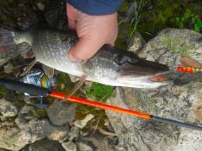 ЛЕГЕНДАРНАЯ ВЕРТУШКА ОТ MEPPS AGLIA 3 НЕ ПОДВЕЛА И НА ЭТОТ РАЗ....