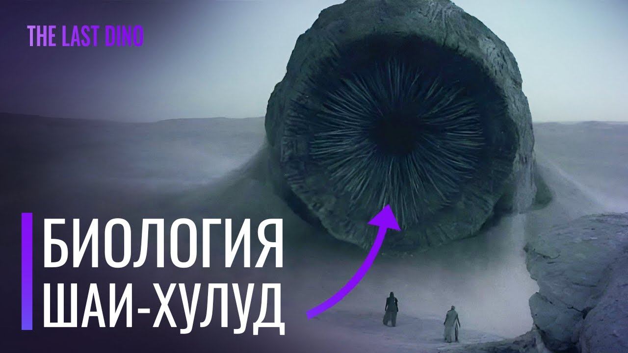 Биология Песчаных червей из "Дюны"