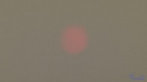 41. Волны и оптика. Естественный видимый свет. Три поляризатора. Закон Малюса.mp4