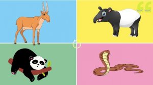 Бәби сүз: Азия хайваннары: уйныйбыз / Животные Азии: играем / Asian animals: play together