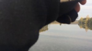 ЛОВЛЯ ОКУНЯ ТА СУДАКА НА ДЖИГ|Favorite Blue Bird BB1-732L-T 2.19m 3-12g