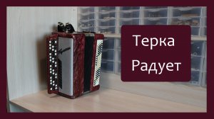 Трудовые будни / Ремонт Баяна "Тульский" /Старенький да удаленький