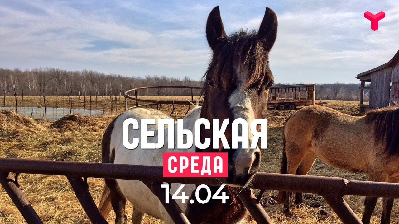 Сельская среда