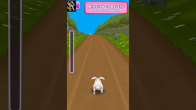 Pets Runner Game | #Shorts | Pet Run Short Video Game | @srgamer6048