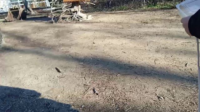 История про сафари парк смотреть онлайн