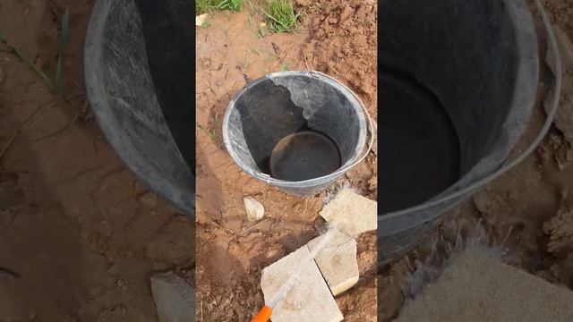 Абиссинская скважина В.Новгород смотреть онлайн