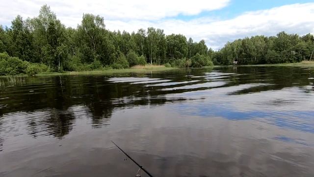 Щука и окунь на реке Хотча по большой воде в июне смотреть онлайн