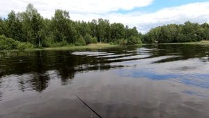 Щука и окунь на реке Хотча по большой воде в июне