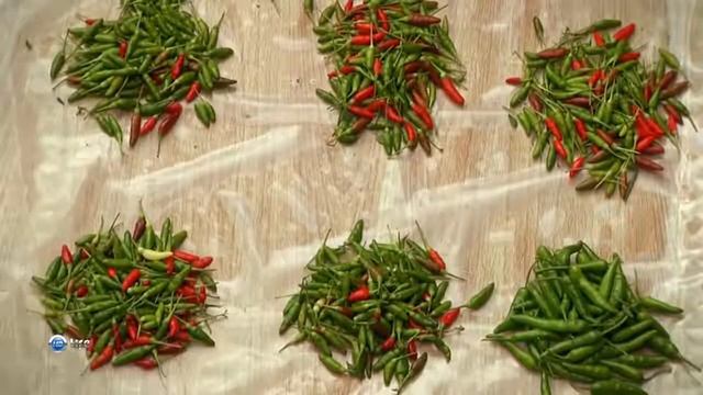 Чудеса природы Сейшельских островах смотреть онлайн