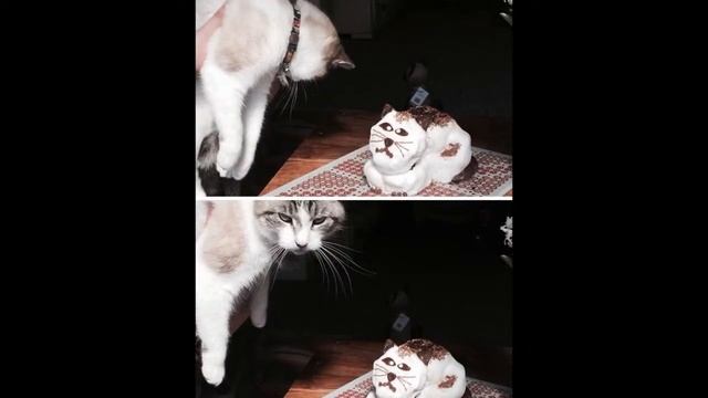 Фото на которых всё сошлось идеально смотреть онлайн