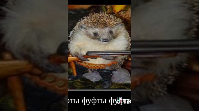 маленькие ёжик - это очень круто🤣🤣😂😂