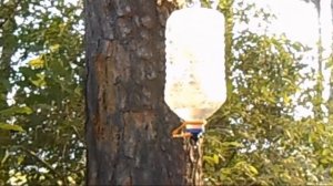 Велопутешествие по Казахстану из Астаны 2015