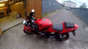 CBR 600 F4i Sport полный выхлоп "dominator exhaust"