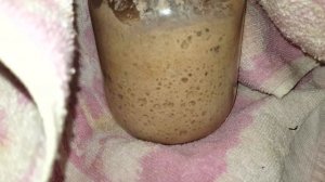 Бездрожжевая закваска из цельнозерновой муки...