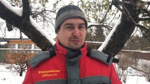 Зимняя обрезка плодовых деревьев