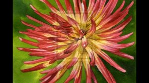 ✿The Waltzing Dahlia✿ & Delicate Dahlia Art