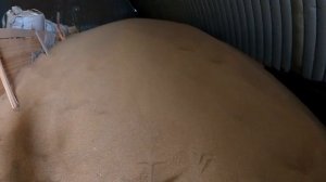 Отбор проб зерна, Оренбург