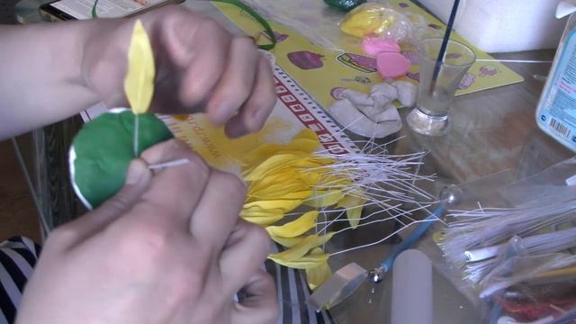 Сахарный подсолнух (Sugar sunflower) смотреть онлайн