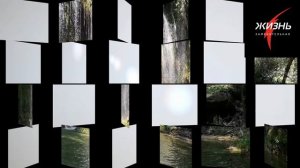 Жадность порождает бедность или как с помощью жадности стать нищим