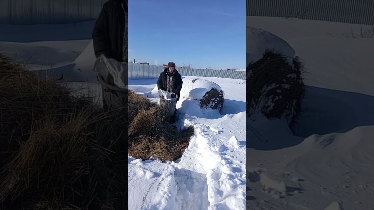 Милые женщины с праздником женского счастья! Сено...
