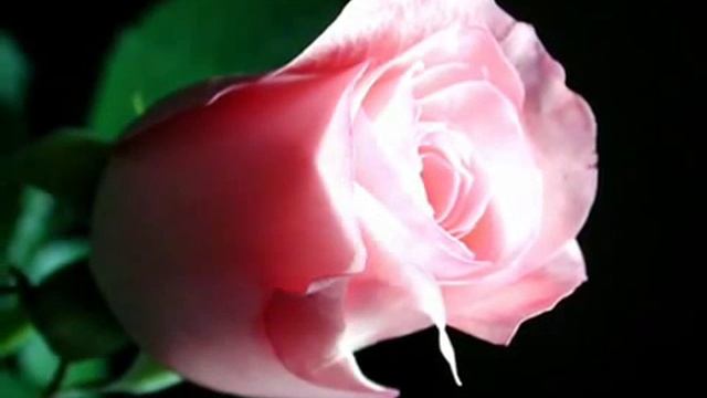 Валерий Залкин Падали звёзды смотреть онлайн