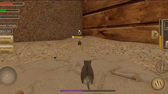 (симулятор крысы дом животное) *не могу дойти до 20 уровня :(. ) смотреть онлайн