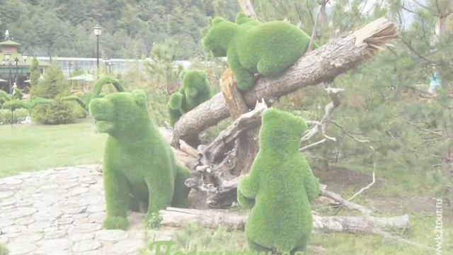 Mp4 видео красивые картинки животный мир создание красивых цветов смотреть онлайн