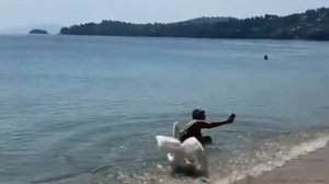 Лебедь напал на женщину в море