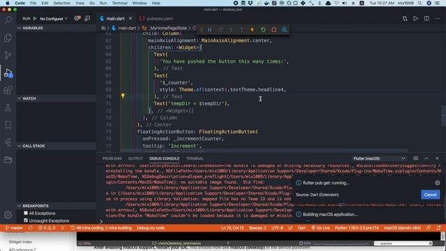 Flutter: prepare macOS app for distribution смотреть онлайн