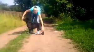 Щенок кане корсо   Хендлинг, стойка. Хендлер Е.Зоря