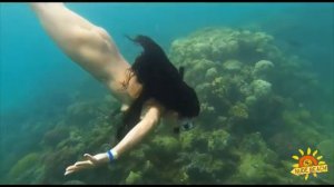 Girl swims underwater in fins and snorkel (Девушка плавает под водой в ластах и маске с трубкой)