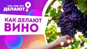 Как делают вино / Как они это делают?