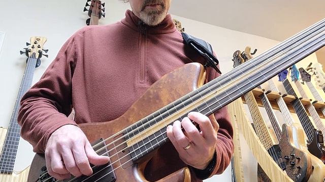 Skjold Cathedral Fretless 6 string bass смотреть онлайн