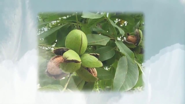 Секреты молодости. Как дольше сохранить смотреть онлайн