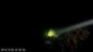 Подводная охота.Черное море ночью