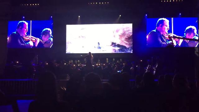 Dragonborn The Elder Scrolls V: Skyrim - Video Games Live 26112016