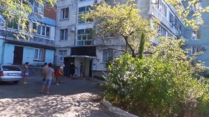 Драки собак