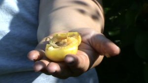 ранний фатьянова