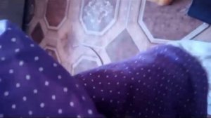 Что взять басикам в дорогу???