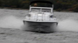 Морской Кот SF620 9