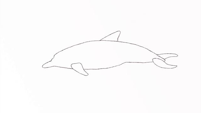 Как нарисовать Дельфина ? (Ho to draw a Dolphin ?) смотреть онлайн