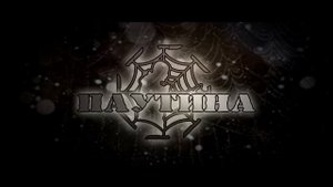 Заставка Паутина